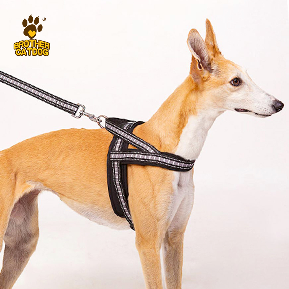 China Wholesales Dog Supplies / Dog & Puppy Harnesses / Manufacturing Pet Supplies / Custom Dog Products / Made in Trianglewin