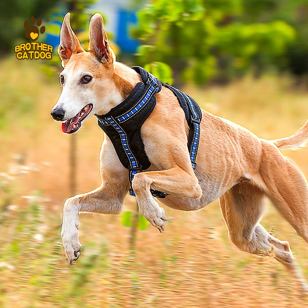 Manufacturing Dog Supplies / Wholesale Pet Supply /Global Horse & Dog Products Supply Chain / Made in Trianglewin