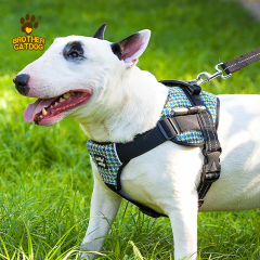 Dog products 2025 / Dog Harnesses & Leashes & Collars & Dog Clothes & Dog Supplier & Factory / Made in Trianglewin