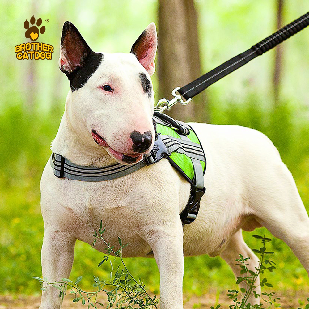 Dog Harness Custom Design / Dog accessories Pet training supplies / Manufacturer & Factory