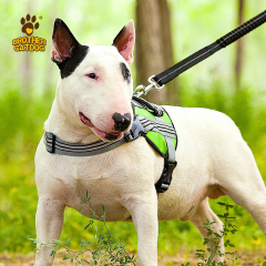 Dog Harness Custom Design / Dog accessories Pet training supplies / Manufacturer & Factory