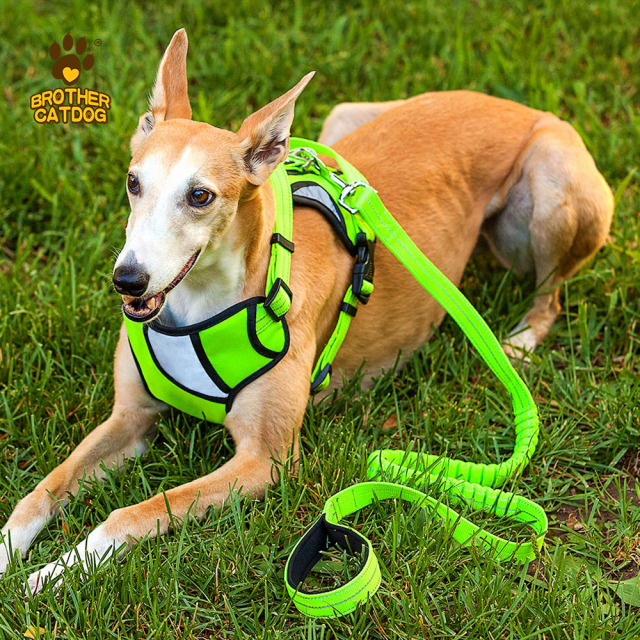 Dog Harness Wholesale / Professional Pet Apparel Factory