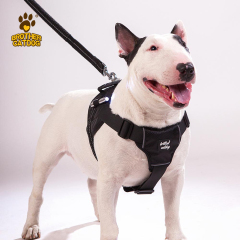 Dog products 2025 / Dog Harnesses & Leashes & Collars & Dog Clothes & Dog Supplier & Factory / Made in Trianglewin