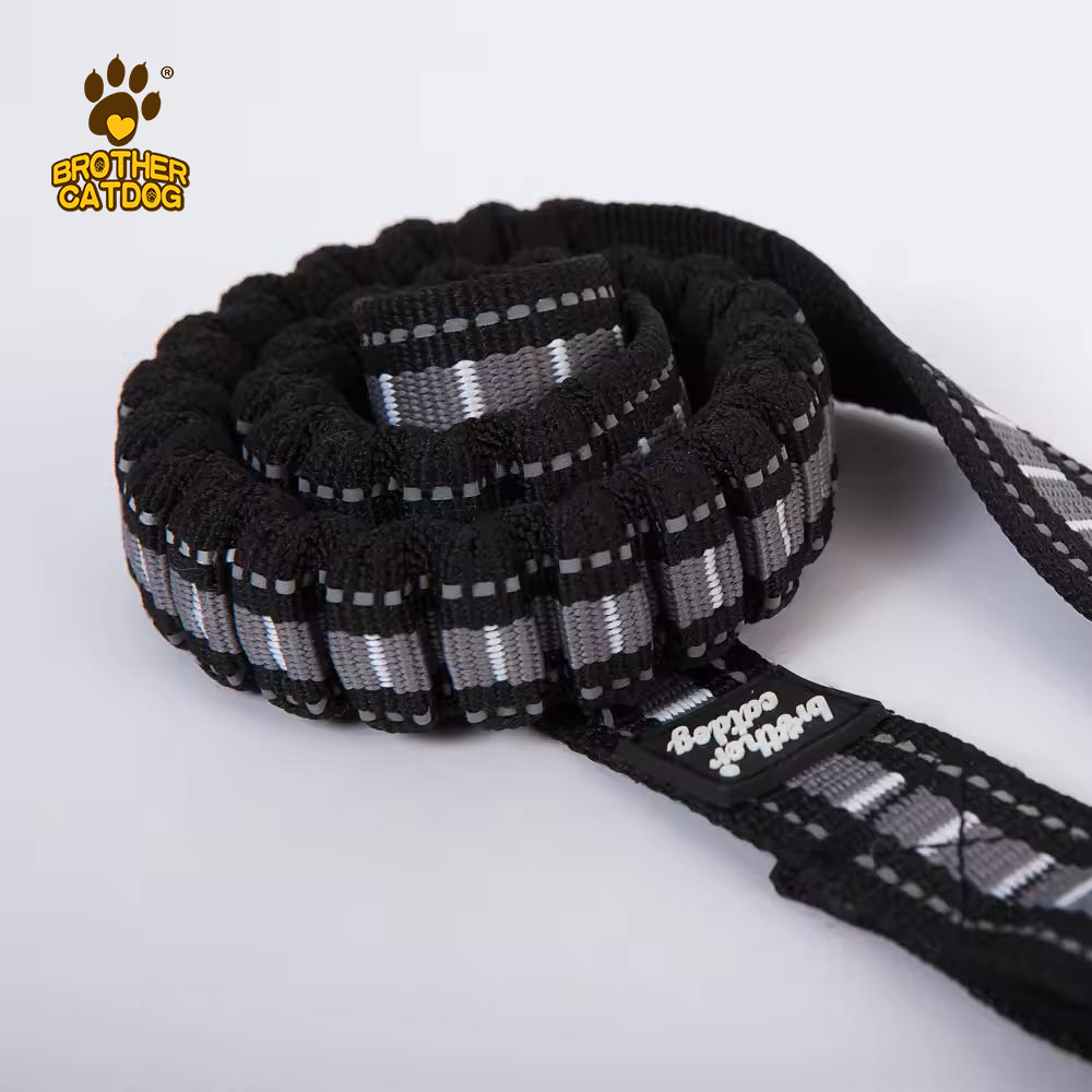 Dog Accessories pet trainging supplies / dog leashes and harnesses / Manufacturer & Supplier