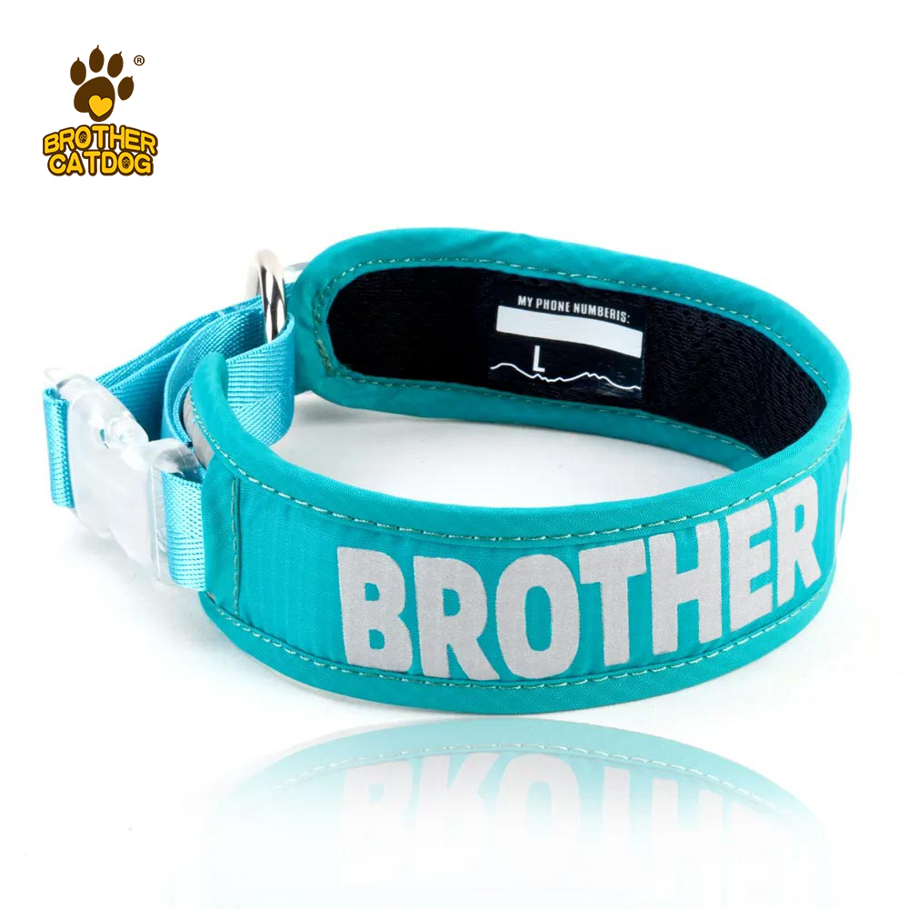 Outdoor Supplies /  Custom dog collars / lightweight dog collar