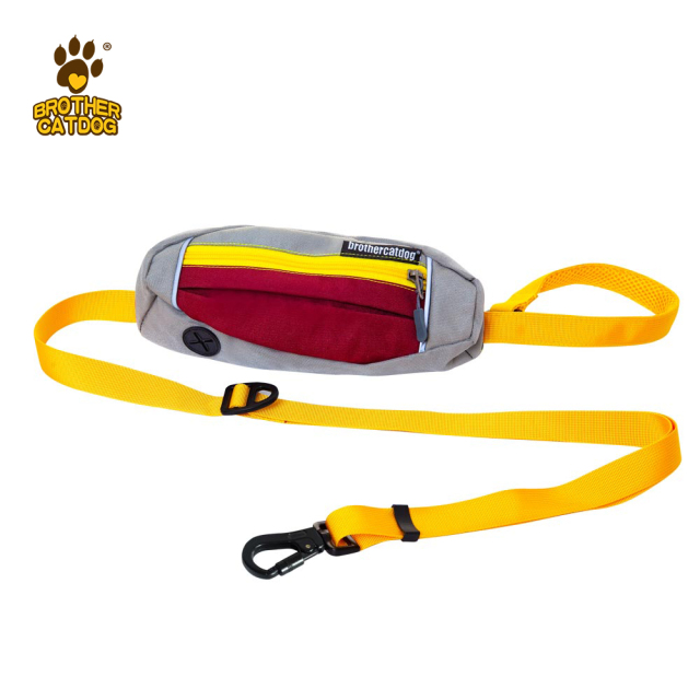 Dog Running Leash / Hands free dog leash / Reflective dog collars and leashes