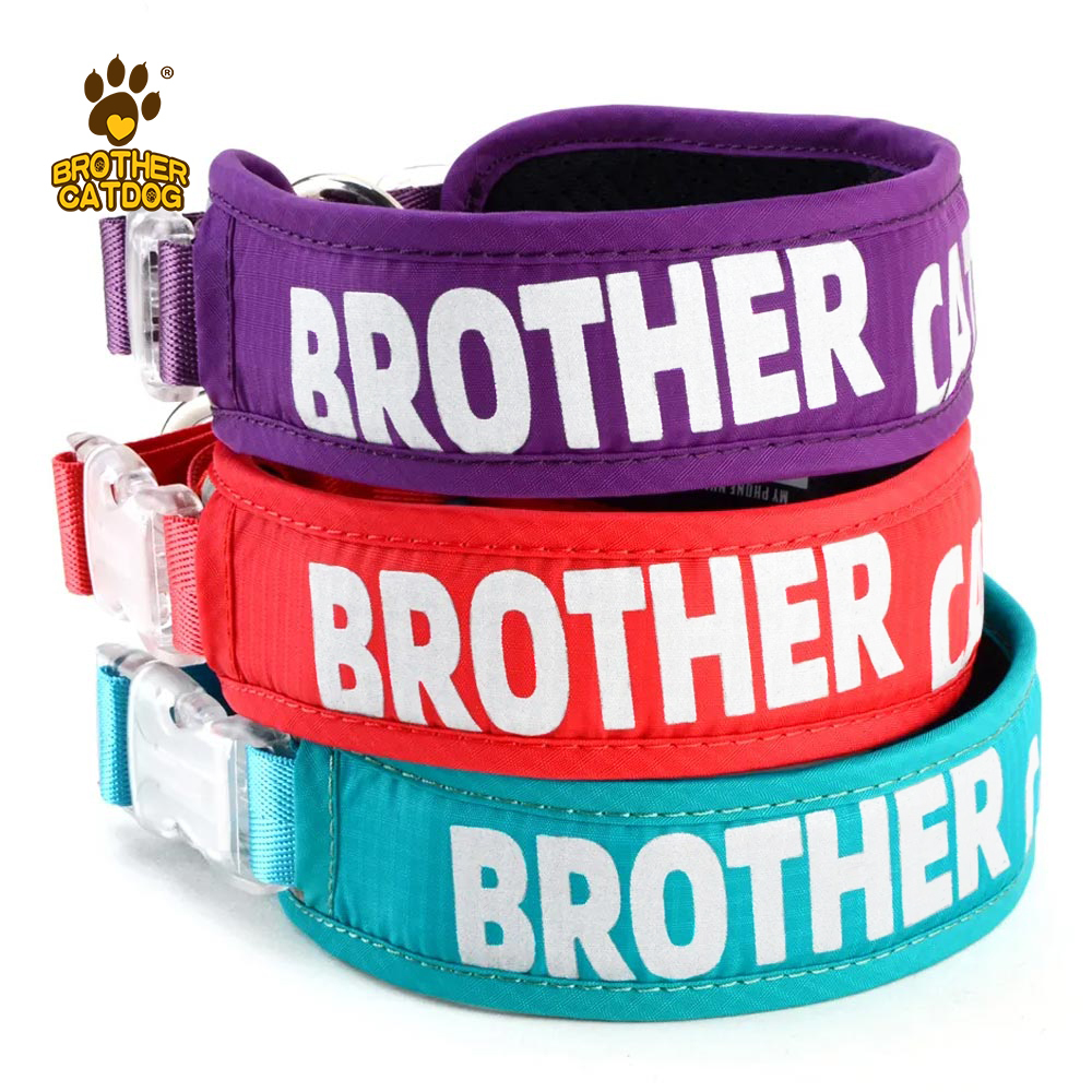 Outdoor Supplies /  Custom dog collars / lightweight dog collar