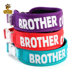Outdoor Supplies /  Custom dog collars / lightweight dog collar
