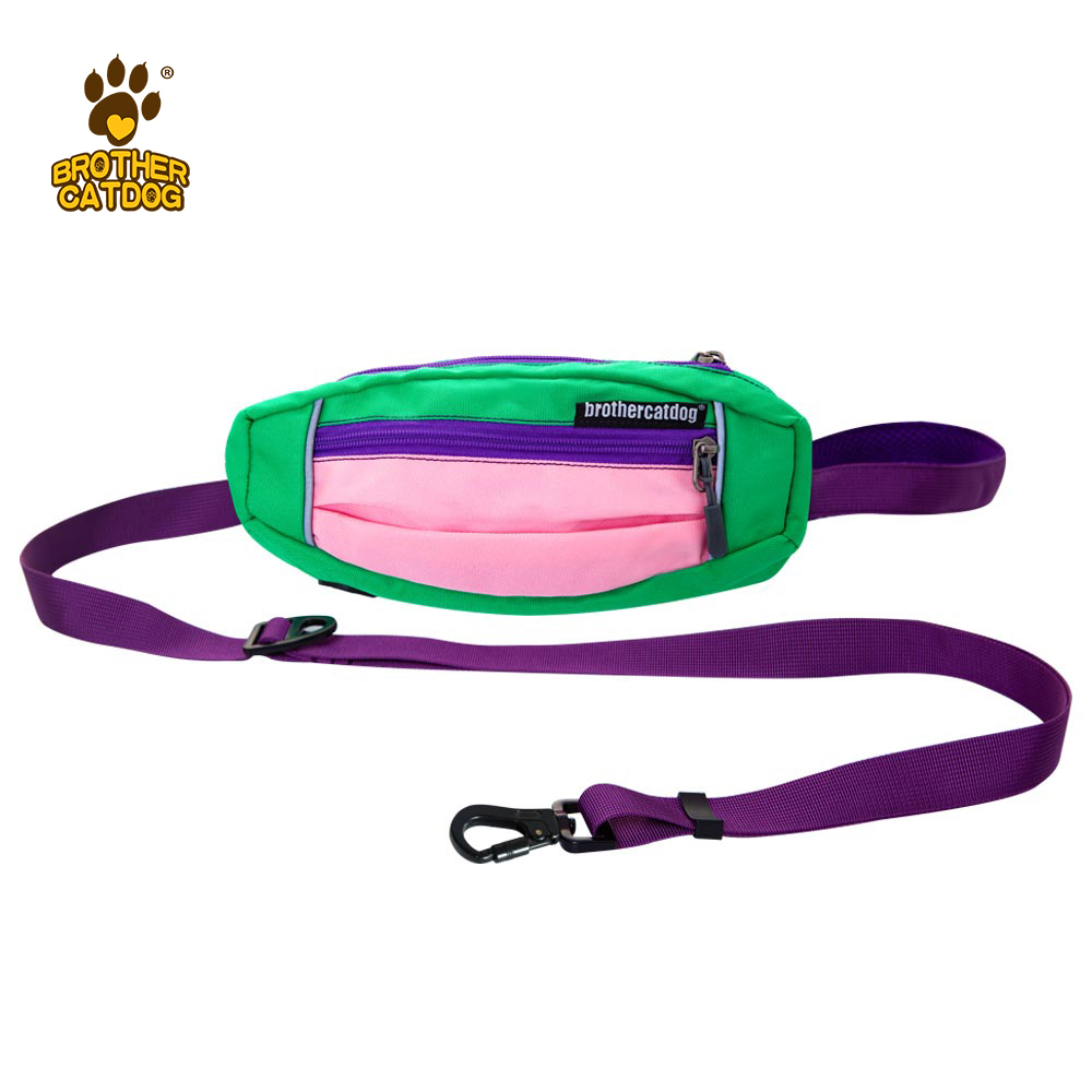 Dog Running Leash / Hands free dog leash / Reflective dog collars and leashes