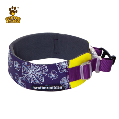 Pet Supplies / Dog collars & Harnesses & Leashes