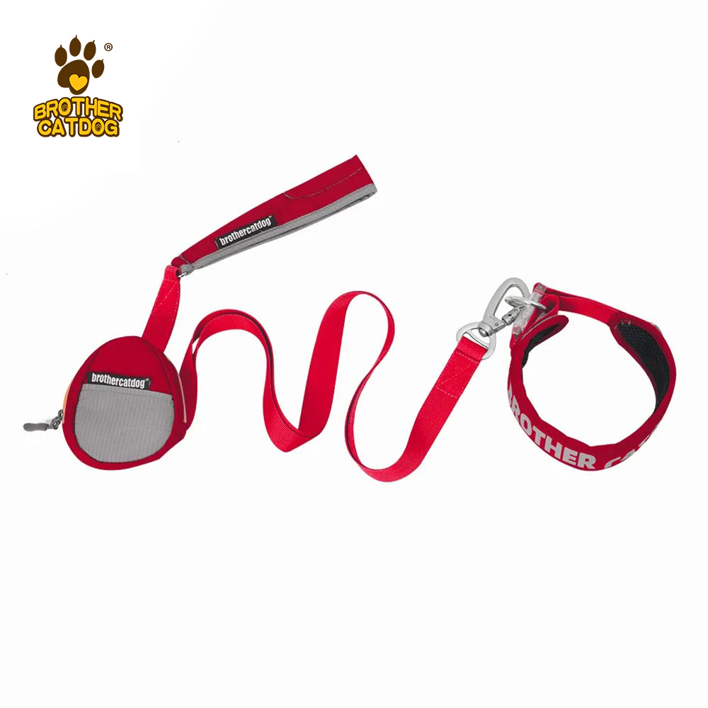 Outdoor Supplies /  Custom dog collars / lightweight dog collar