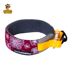 Pet Supplies / Dog collars & Harnesses & Leashes