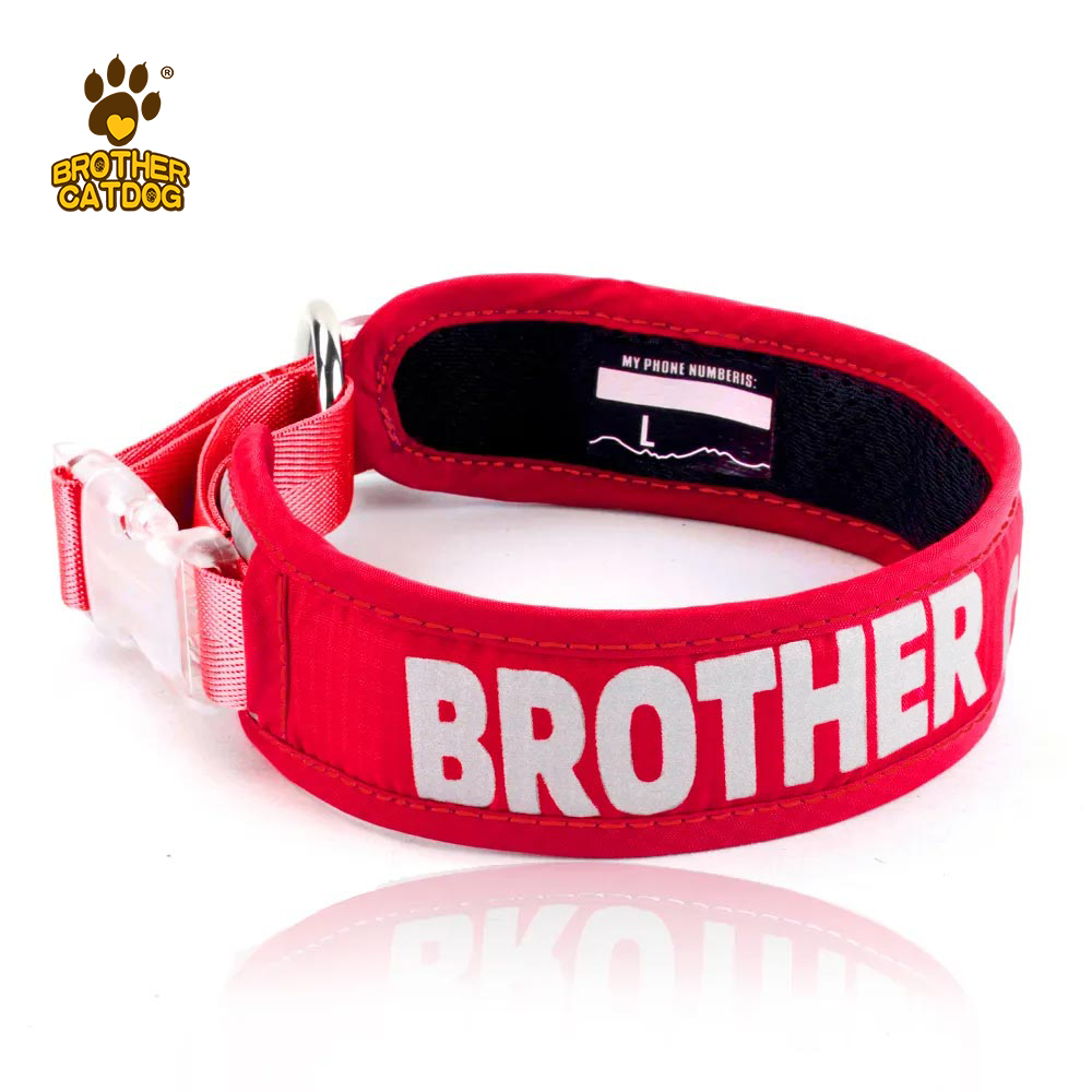 Outdoor Supplies /  Custom dog collars / lightweight dog collar