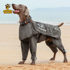 Manufacturer Customized Waterproof Dog Raincoats & Jackets /  Lightweight  Dog coat Jackets / Brother Cat Dog