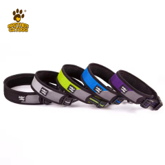 Customizable Dog Leashes / Dog Gear / Dog Leashes with bag / Hands free dog leash