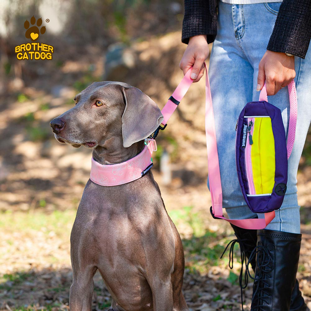 Dog Running Leash / Hands free dog leash / Reflective dog collars and leashes