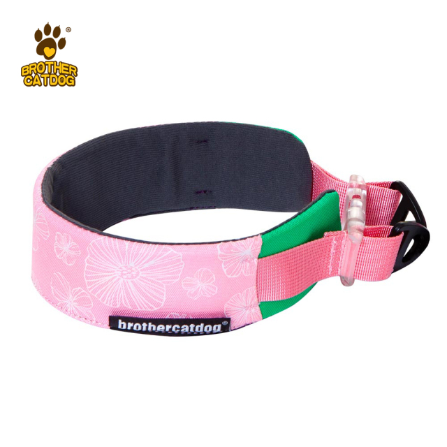 Pet Supplies / Dog collars & Harnesses & Leashes