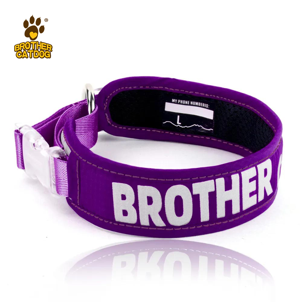 Outdoor Supplies /  Custom dog collars / lightweight dog collar