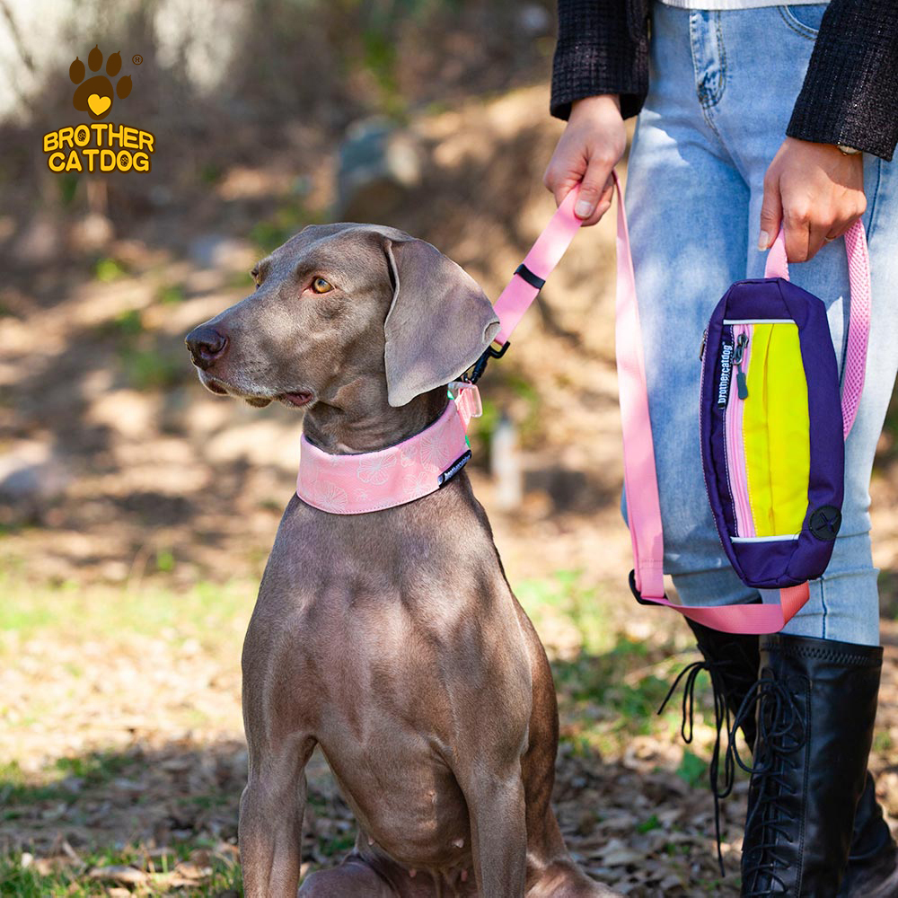 Pet Supplies / Dog collars & Harnesses & Leashes