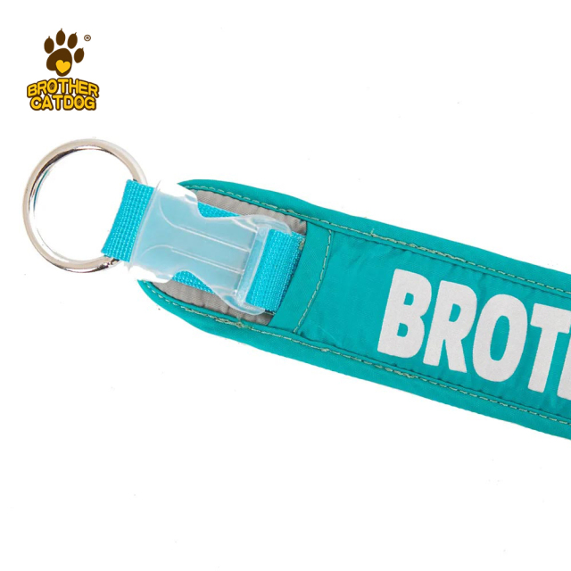 Outdoor Supplies /  Custom dog collars / lightweight dog collar