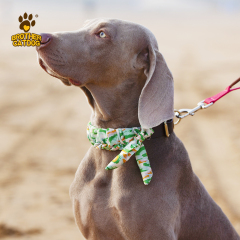 Personalized Dog collars / Custom Dog Collars / Dog Collar Leather / Brother Cat Dog
