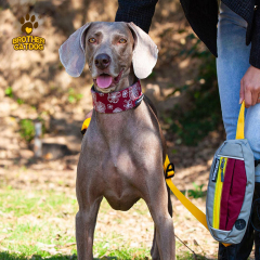 Pet Supplies / Dog collars & Harnesses & Leashes