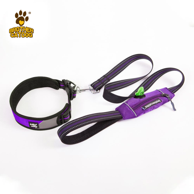 Dog Collars and Leashes  / Nylon dog leash  / Reflective Dog Collars