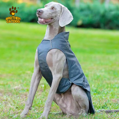Dog clothes winter / Dog clothing custom / Hunting Dog Vest