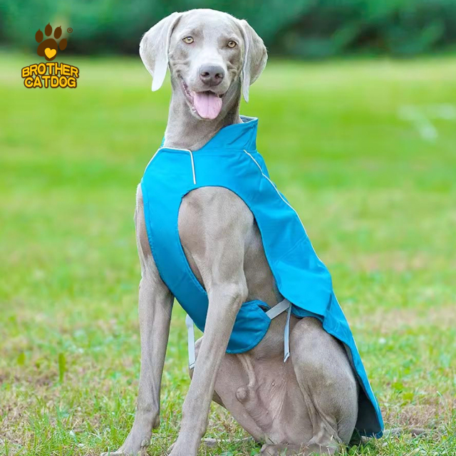 Dog clothes winter / Dog clothing custom / Hunting Dog Vest