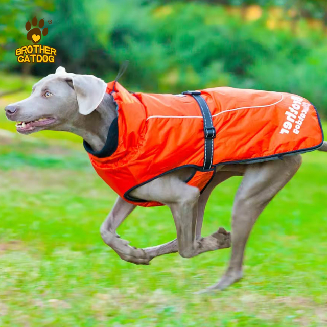 Winter Dog Gear / Winter Jacket Coats for Dogs / Large Dog Clothes