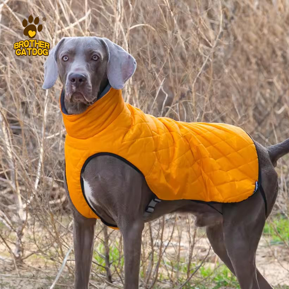 China Pet Items / Winter Dog Clothing / Dog Clothes Manufacturer