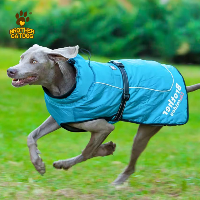Winter Dog Gear / Winter Jacket Coats for Dogs / Large Dog Clothes