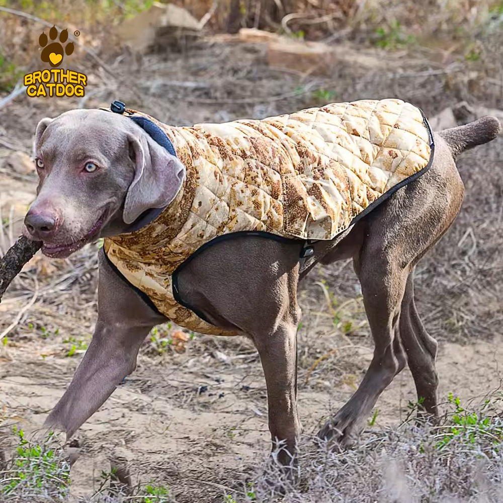 China Pet Items / Winter Dog Clothing / Dog Clothes Manufacturer