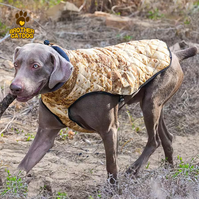 China Pet Items / Winter Dog Clothing / Dog Clothes Manufacturer