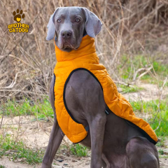 China Pet Items / Winter Dog Clothing / Dog Clothes Manufacturer