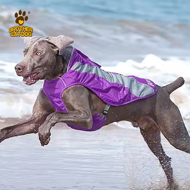 Dog apparel supplier / Dog Jackets Factory / Dog clothes Custom