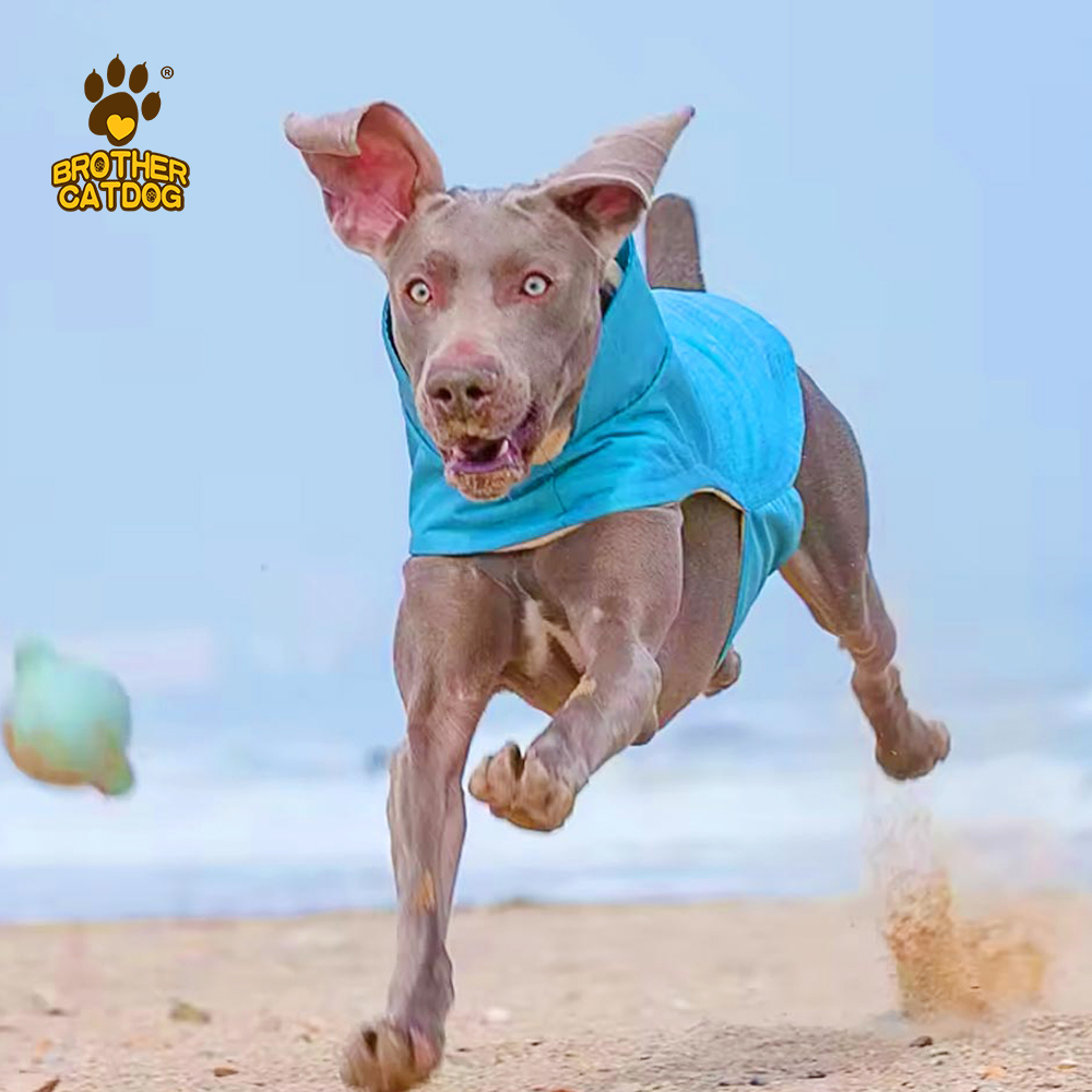 Dog Coats For Large Dogs / Waterproof Lightweight Winter Dog Clothes