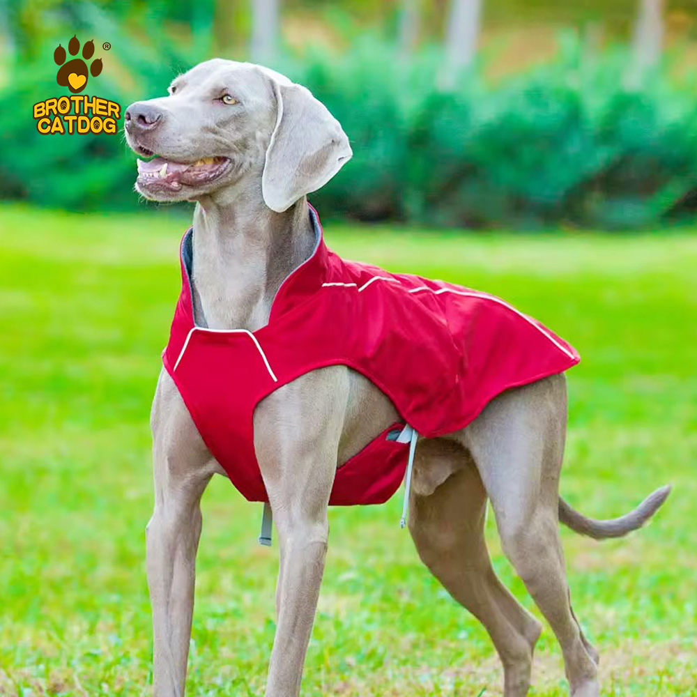 Dog clothes winter / Dog clothing custom / Hunting Dog Vest