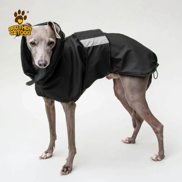 Performance Dog Gear / Dog clothing & Accessories