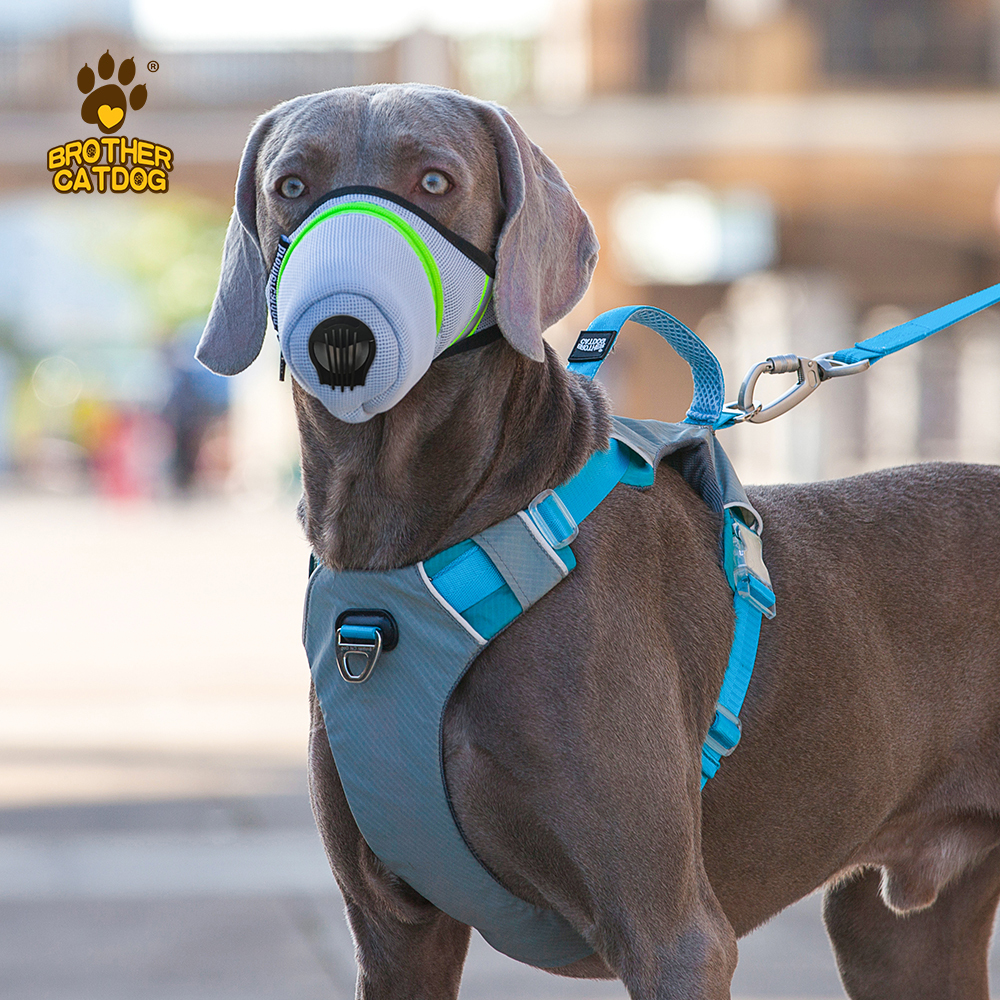 Masks For Dogs /  Dog Face Mask / Dog Mouth Mask / Face Mask For Dogs / Pet Mouth Cover