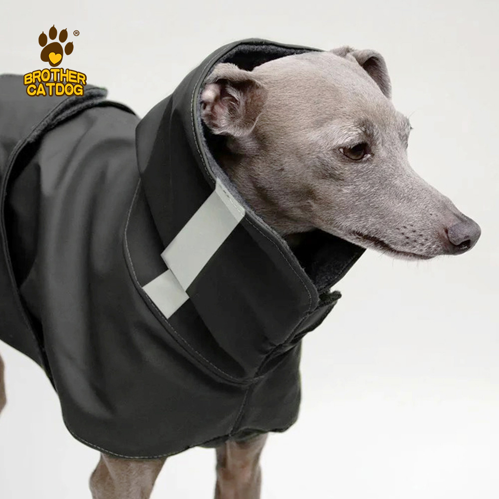 Performance Dog Gear / Dog clothing & Accessories