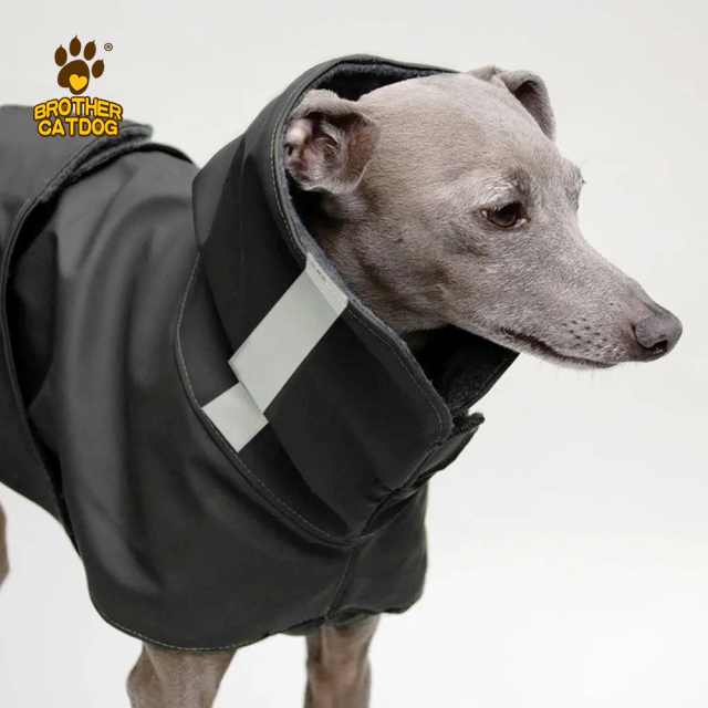 Performance Dog Gear / Dog clothing & Accessories