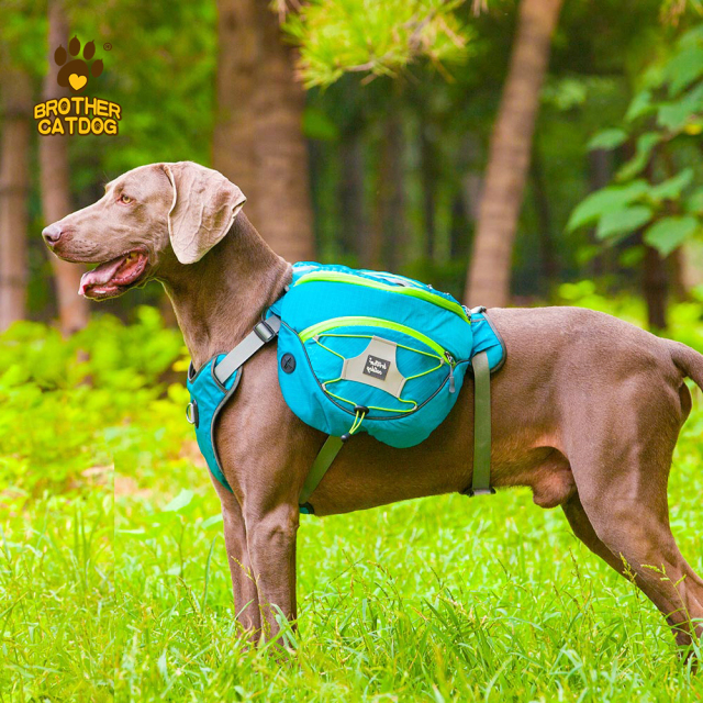 Dog Backpacks / Dog Carriers / Dog backpack for large dogs / Dog Backpack For Large Dogs