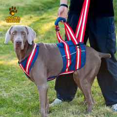 Dog Rear lift Harnesses / Buddy up Harness / Dog Sling For Back Legs / Dog lift harnesses