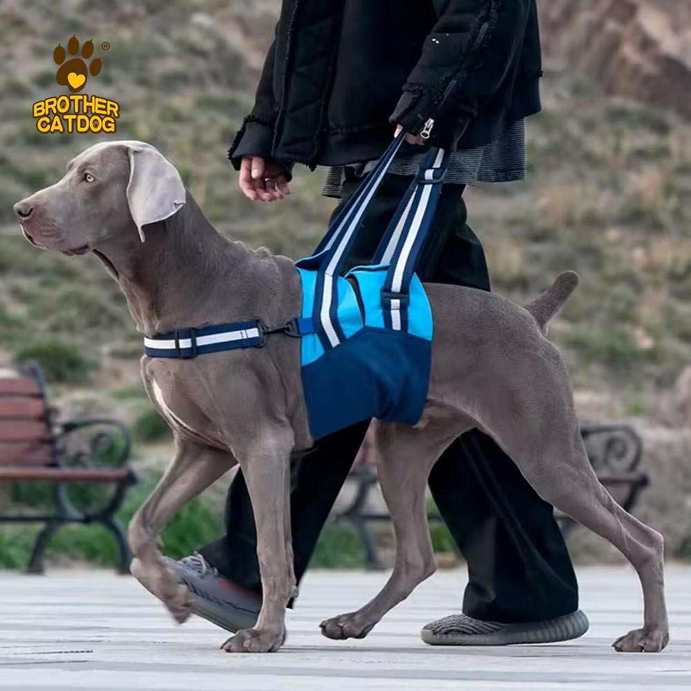 Dog lift Harnesses / Support Slings and Wheelchairs / Pet Dog Lifting Harnesses / Dog Sling Carrier / Made in Brother cat dog