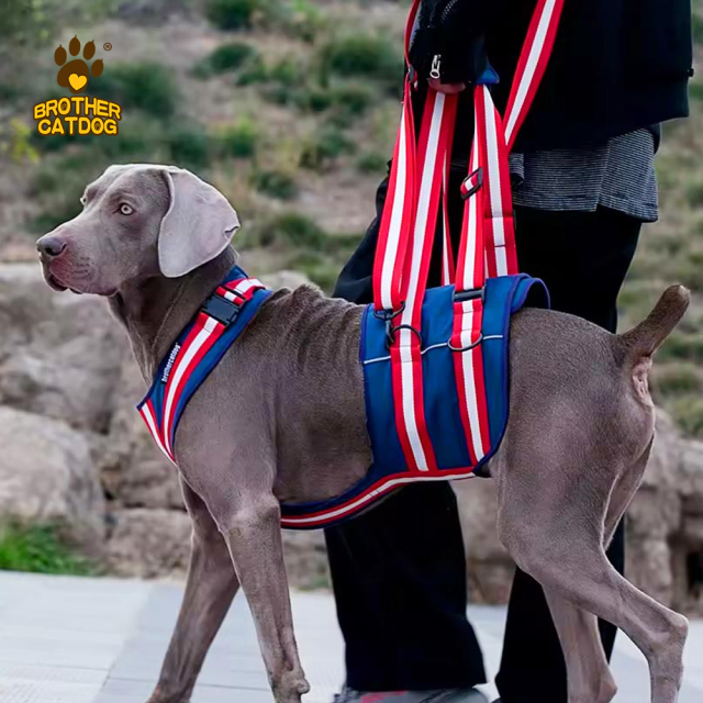 Dog Rear lift Harnesses / Buddy up Harness / Dog Sling For Back Legs / Dog lift harnesses