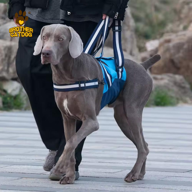 Dog lift Harnesses / Support Slings and Wheelchairs / Pet Dog Lifting Harnesses / Dog Sling Carrier / Made in Brother cat dog
