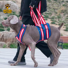 Dog Rear lift Harnesses / Buddy up Harness / Dog Sling For Back Legs / Dog lift harnesses