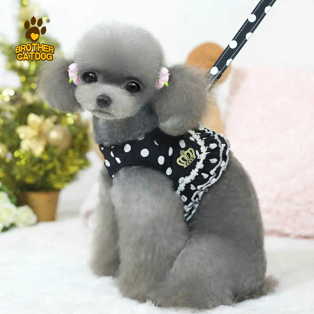 Comfortable harnesses for dogs of all breeds / Dog & puppy harnesses / Dog harness manufacturer