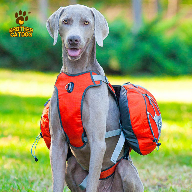 Dog Backpacks / Dog Carriers / Dog backpack for large dogs / Dog Backpack For Large Dogs